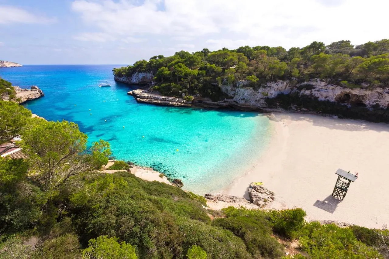 Apartment Assimetric - Only 100M To Beach Alcudia